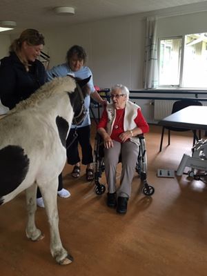 hesten Dixie hilser på beboer i kørestol