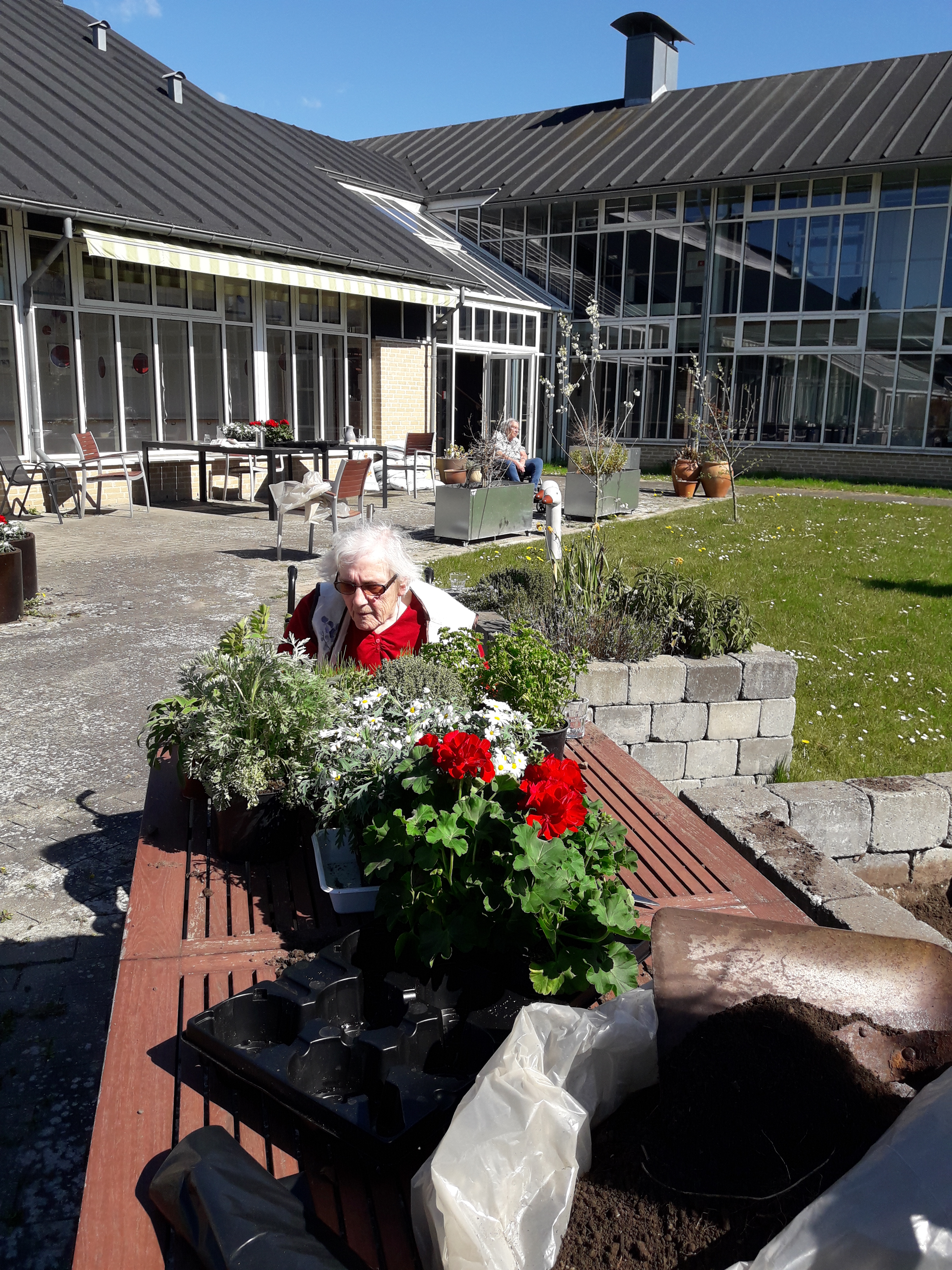 beboer og medarbejder planter udendørs planter beboer og medarbejder planter udendørs planter