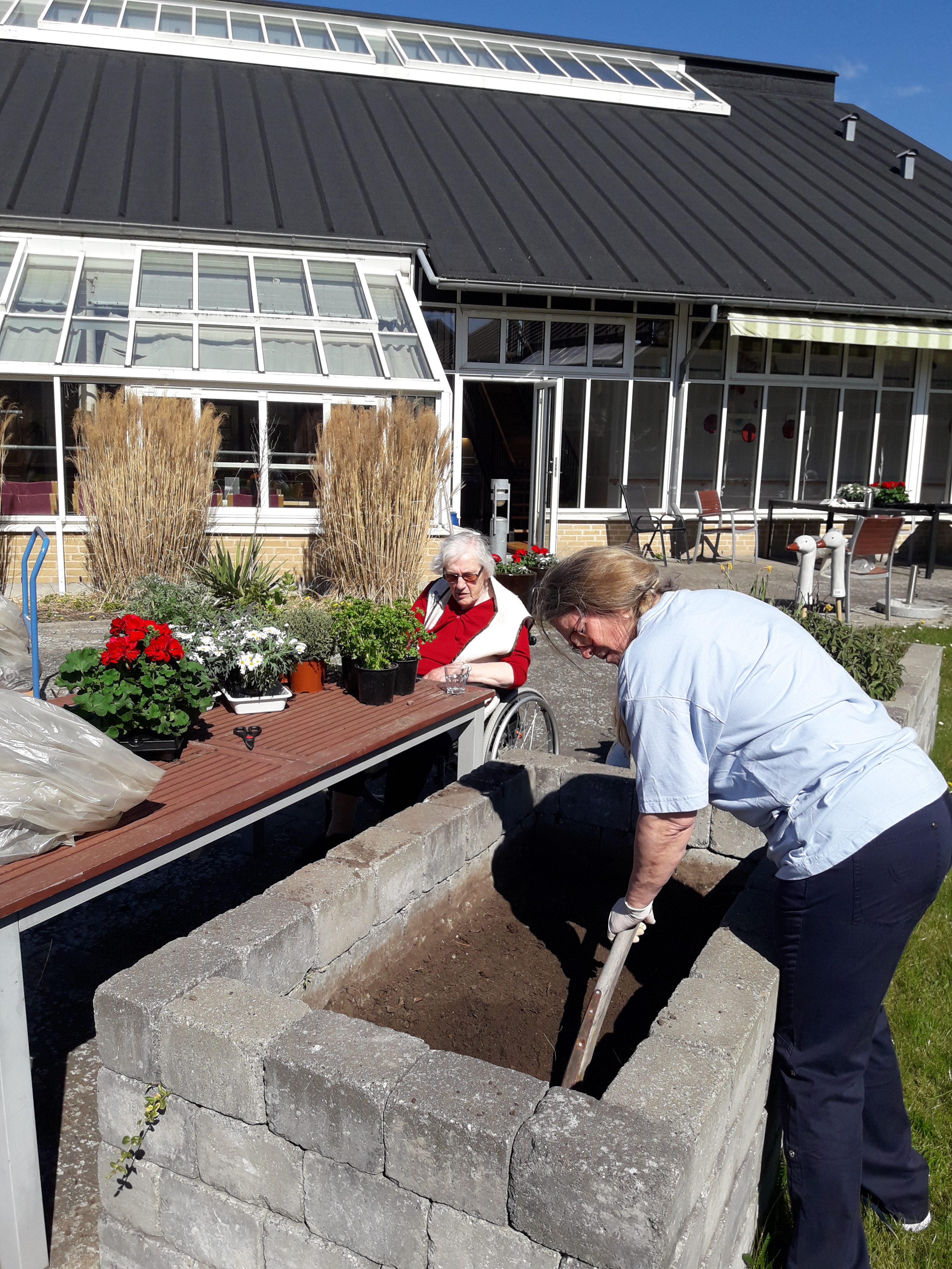 beboer og medarbejder planter udendørs planter beboer og medarbejder planter udendørs planter