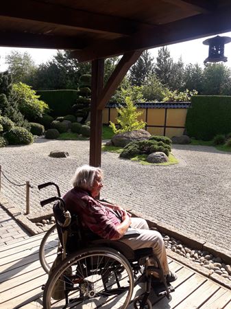 beboer i kørestol nyder solen i Birkegårdens have