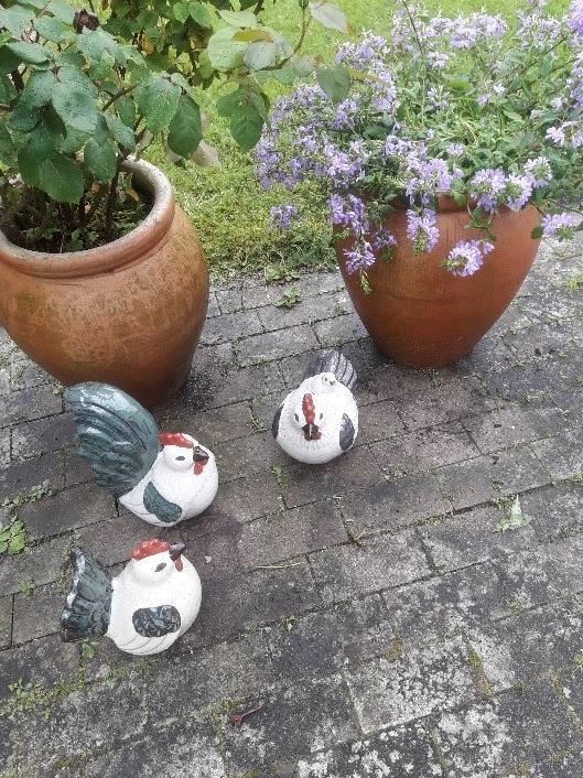 tre keramikhøns i haven på Tolleruphøj: Hanse, Hønse og Kyllemor. I baggrunden 2 blomsterkrukker med grøn plante og lilla blomster