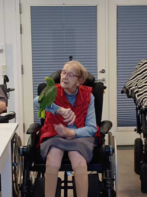 2 talende papegøjer