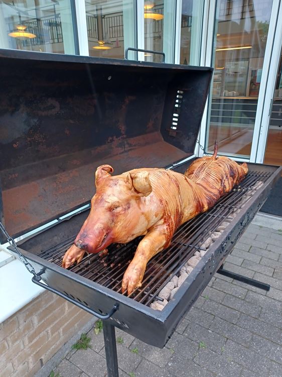 Grisen er grillet og klar 