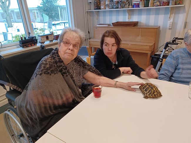 Annelise og skildpadde